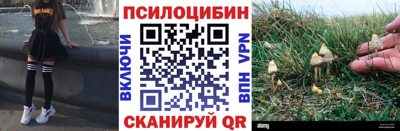 Галлюциногенные грибы ЛСД  Красный Холм 