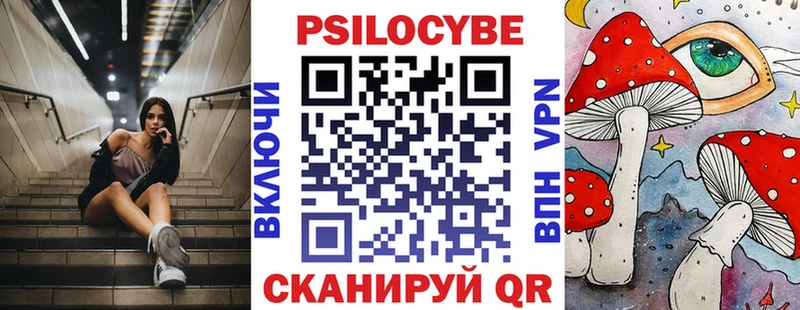 Галлюциногенные грибы Psilocybine cubensis Красный Холм